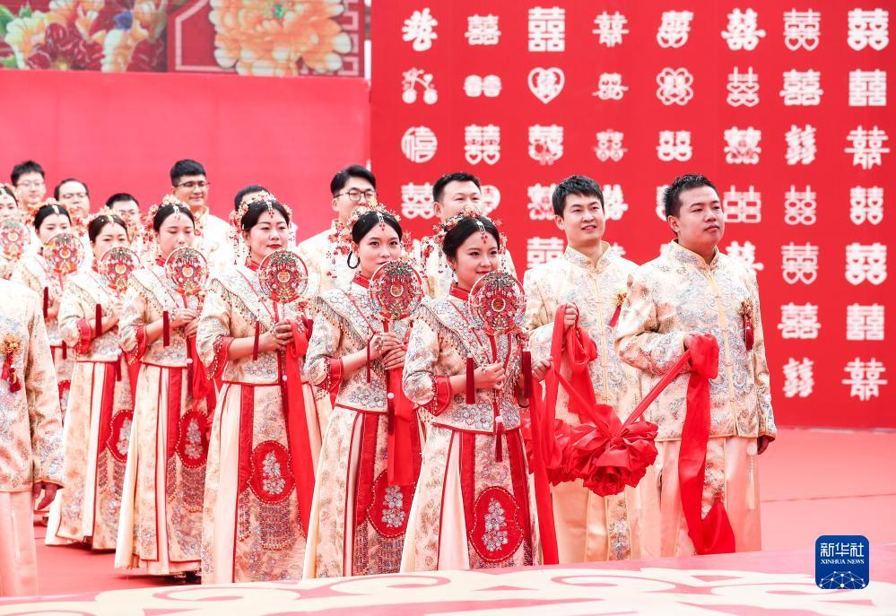 我们的太阳游戏